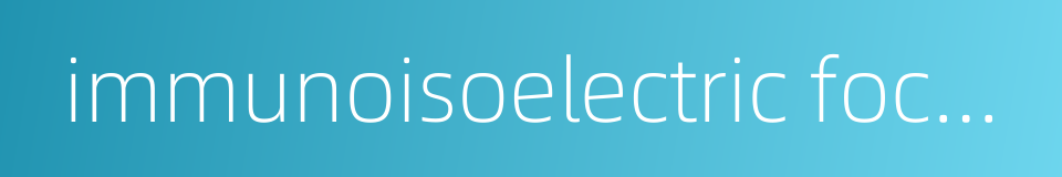 immunoisoelectric focusing的同义词