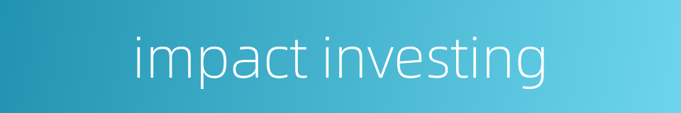 impact investing的同义词