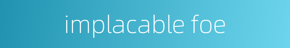 implacable foe的同义词