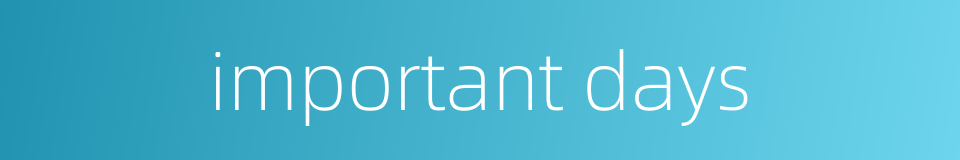 important days的同义词