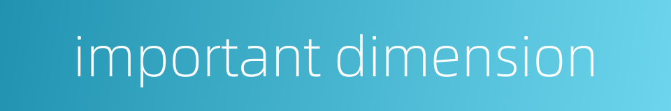 important dimension的同义词