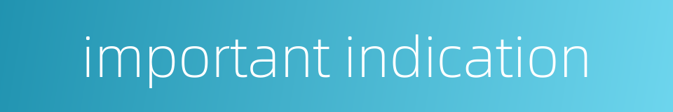 important indication的同义词