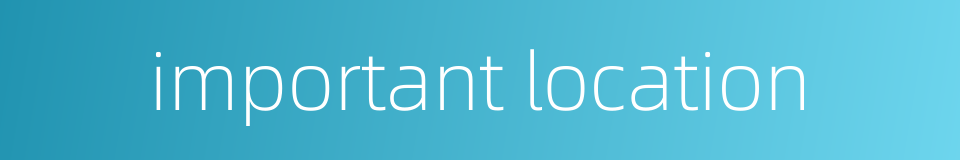 important location的同义词