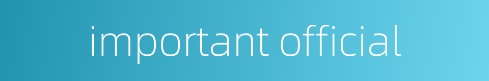 important official的同义词