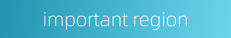 important region的同义词