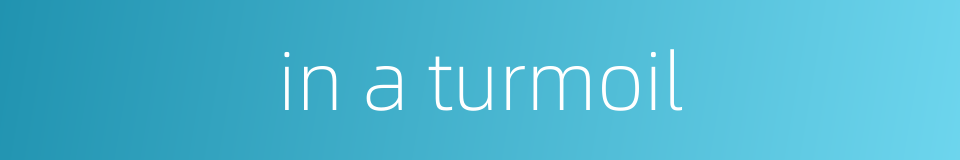 in a turmoil的同义词