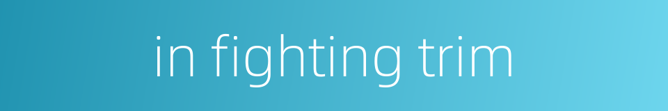 in fighting trim的同义词