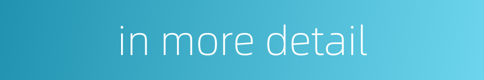 in more detail的同义词