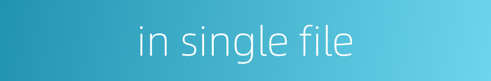 in single file的同义词