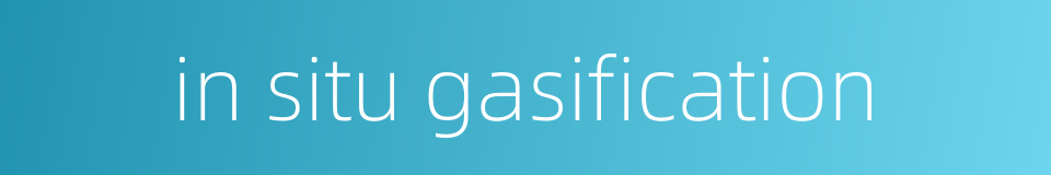in situ gasification的同义词