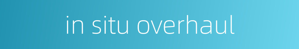 in situ overhaul的同义词