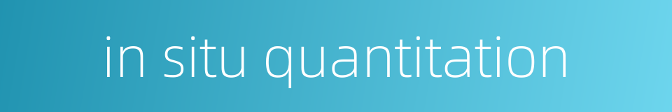in situ quantitation的同义词