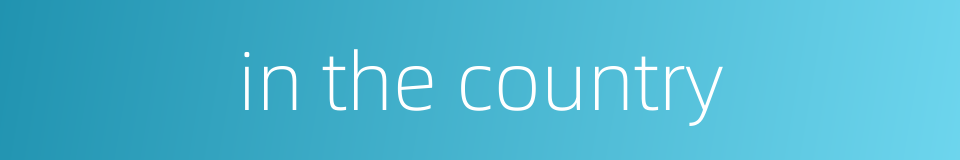 in the country的同义词