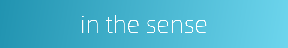 in the sense的同义词