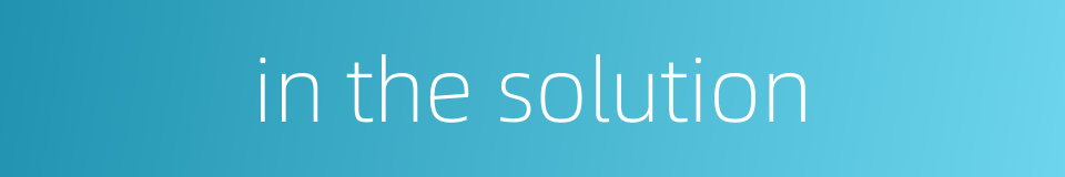 in the solution的同义词