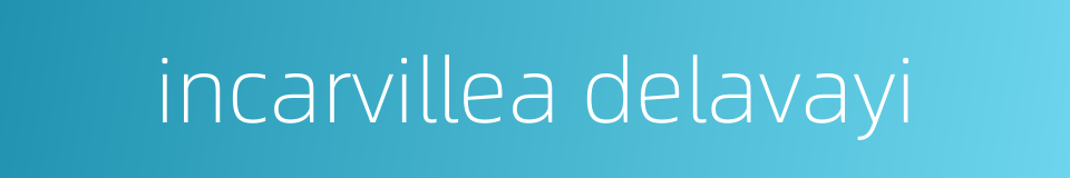 incarvillea delavayi的同义词