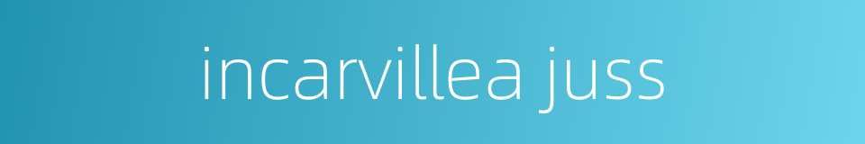 incarvillea juss的同义词