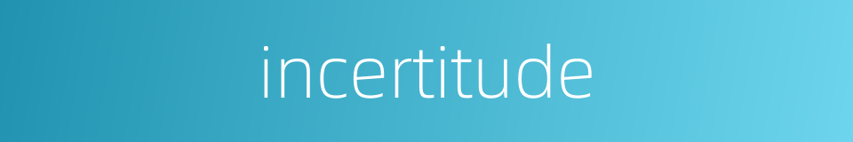 incertitude的同义词
