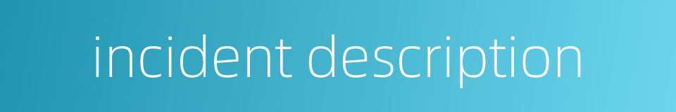 incident description的同义词