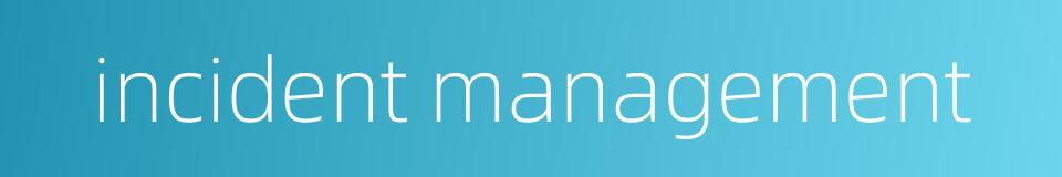 incident management的同义词