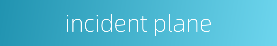 incident plane的同义词