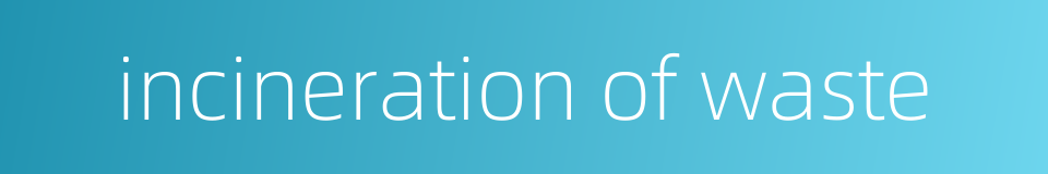 incineration of waste的同义词