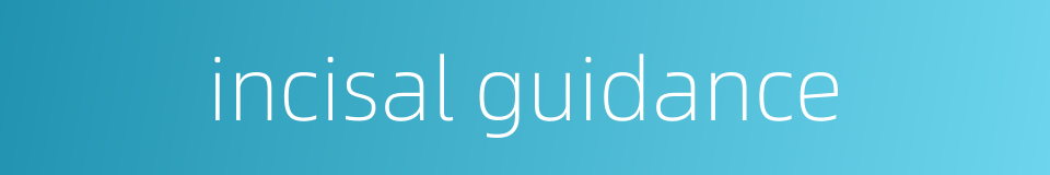 incisal guidance的同义词