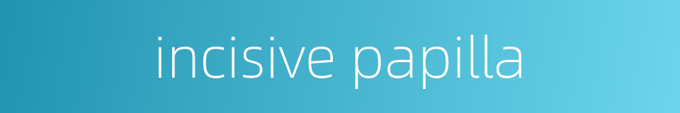 incisive papilla的同义词