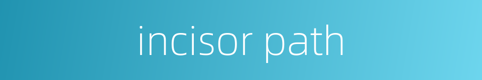 incisor path的同义词