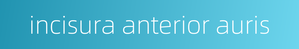 incisura anterior auris的同义词