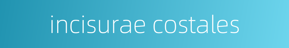 incisurae costales的同义词