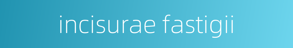 incisurae fastigii的同义词