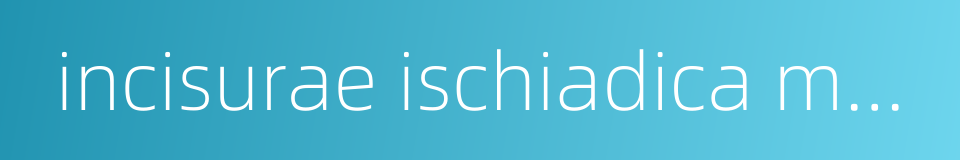 incisurae ischiadica major的同义词