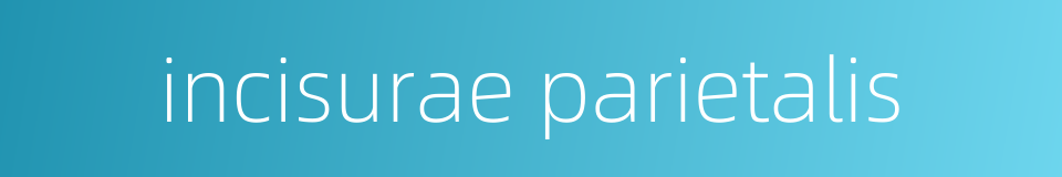 incisurae parietalis的同义词