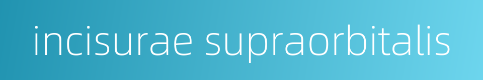 incisurae supraorbitalis的同义词
