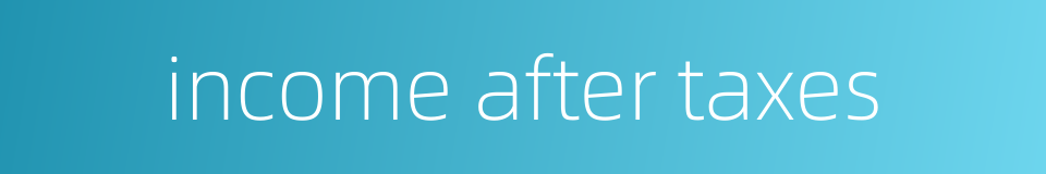 income after taxes的同义词