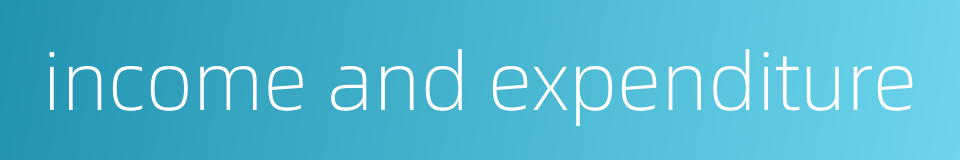 income and expenditure的同义词