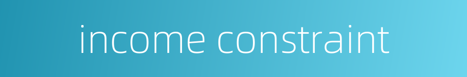 income constraint的同义词