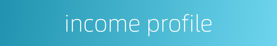 income profile的同义词