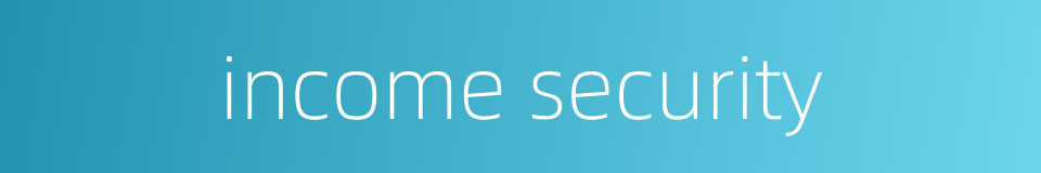 income security的同义词