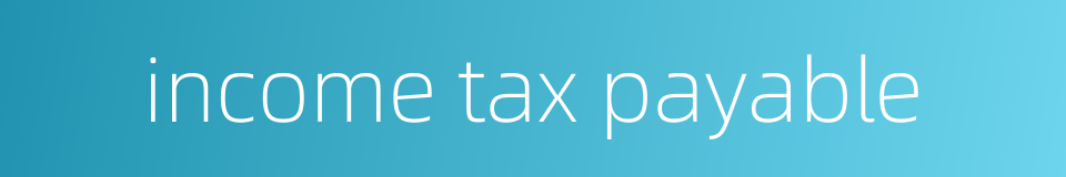 income tax payable的同义词