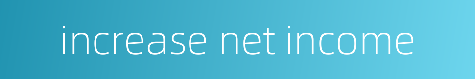 increase net income的同义词