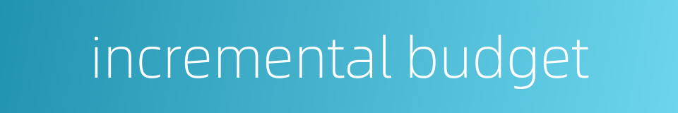 incremental budget的同义词