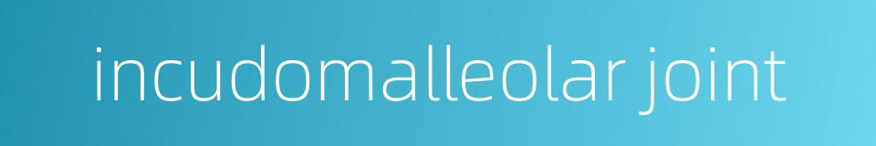 incudomalleolar joint的同义词