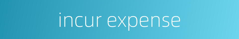 incur expense的同义词
