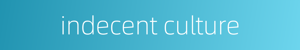 indecent culture的同义词