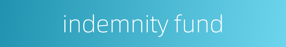 indemnity fund的同义词