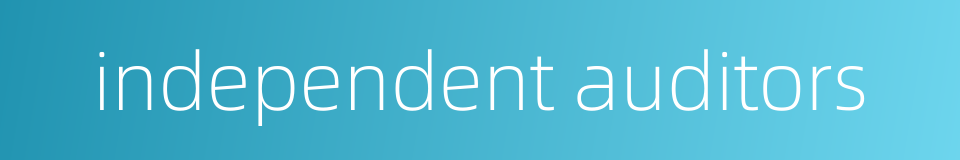 independent auditors的同义词