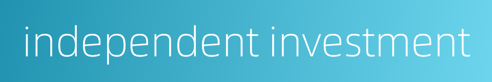 independent investment的同义词