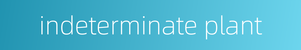 indeterminate plant的同义词